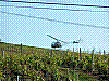 beaujolais_2006-05-24_08h37m44s.jpg beaujolais_2006-05-24_08h37m44s.jpg